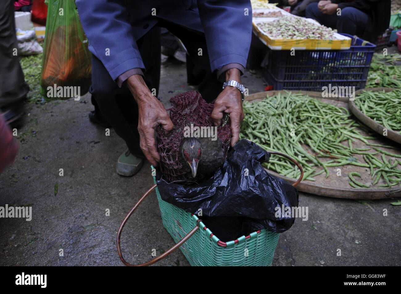 Poulet pour vente au marché traditionnel de Longyan Banque D'Images