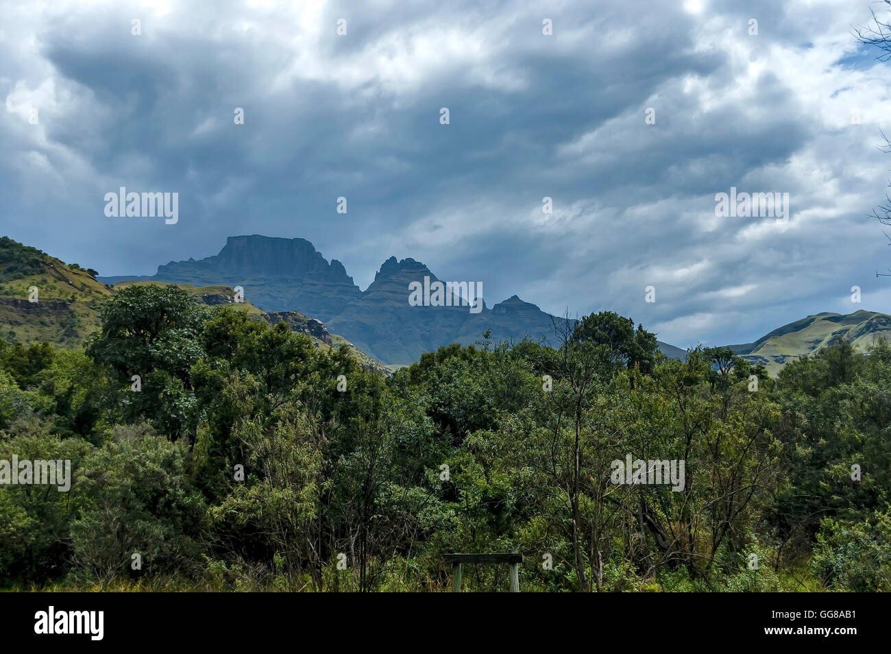 Dans le Parc national royal Natal Drakensberg, Afrique du Sud Banque D'Images