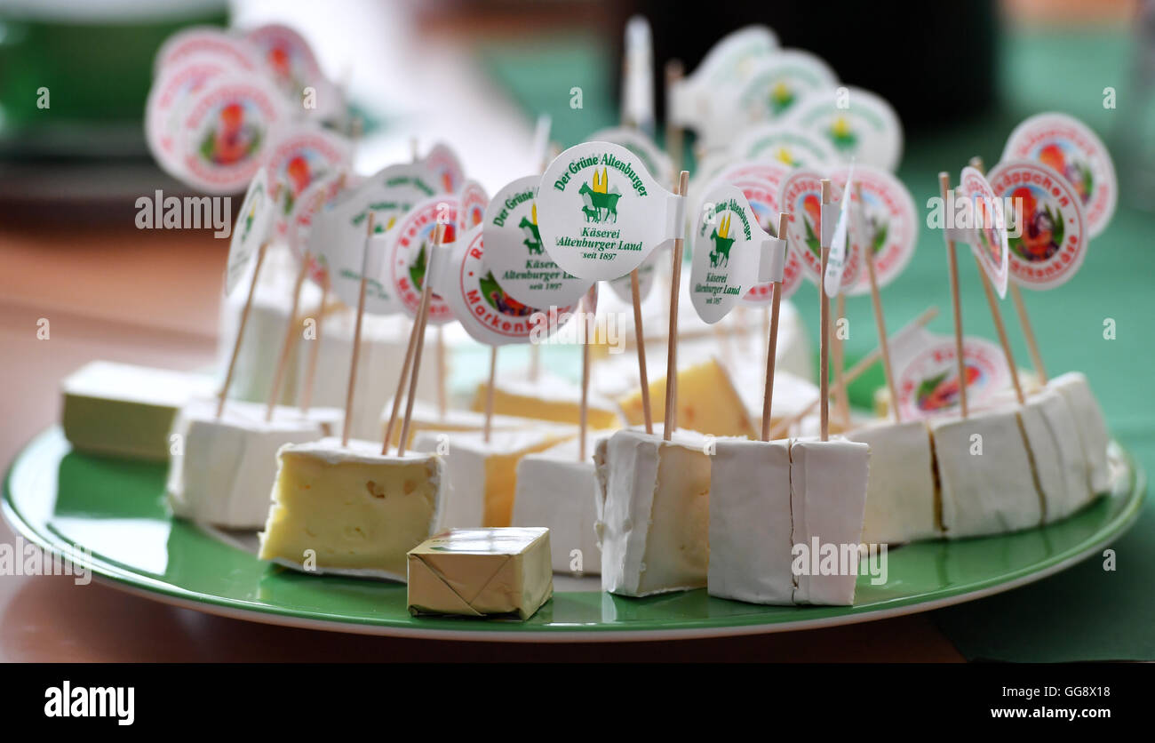 Dans la fromagerie Altenburger Land GmbH & Co. KG morceaux de fromage sont sur une table en Lumpzig/Hartha, Allemagne, 08 août 2016. Dans l'usine de fromage est en cours pour les marques de fromage 'Der Gruene Altenburger et 'Rotkaeppchen' ; plusieurs différentes sortes de fromages doux et crémeux se répand à partir de produits frais du lait de vache et de chèvre sont produits. Photo : Martin Schutt/dpa Banque D'Images