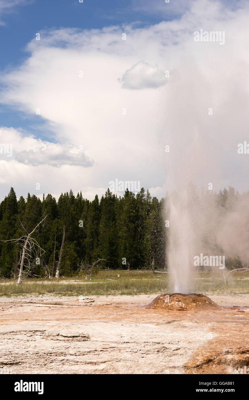 Cône de l'éruption du Geyser rose Parc National de Yellowstone au Wyoming Banque D'Images