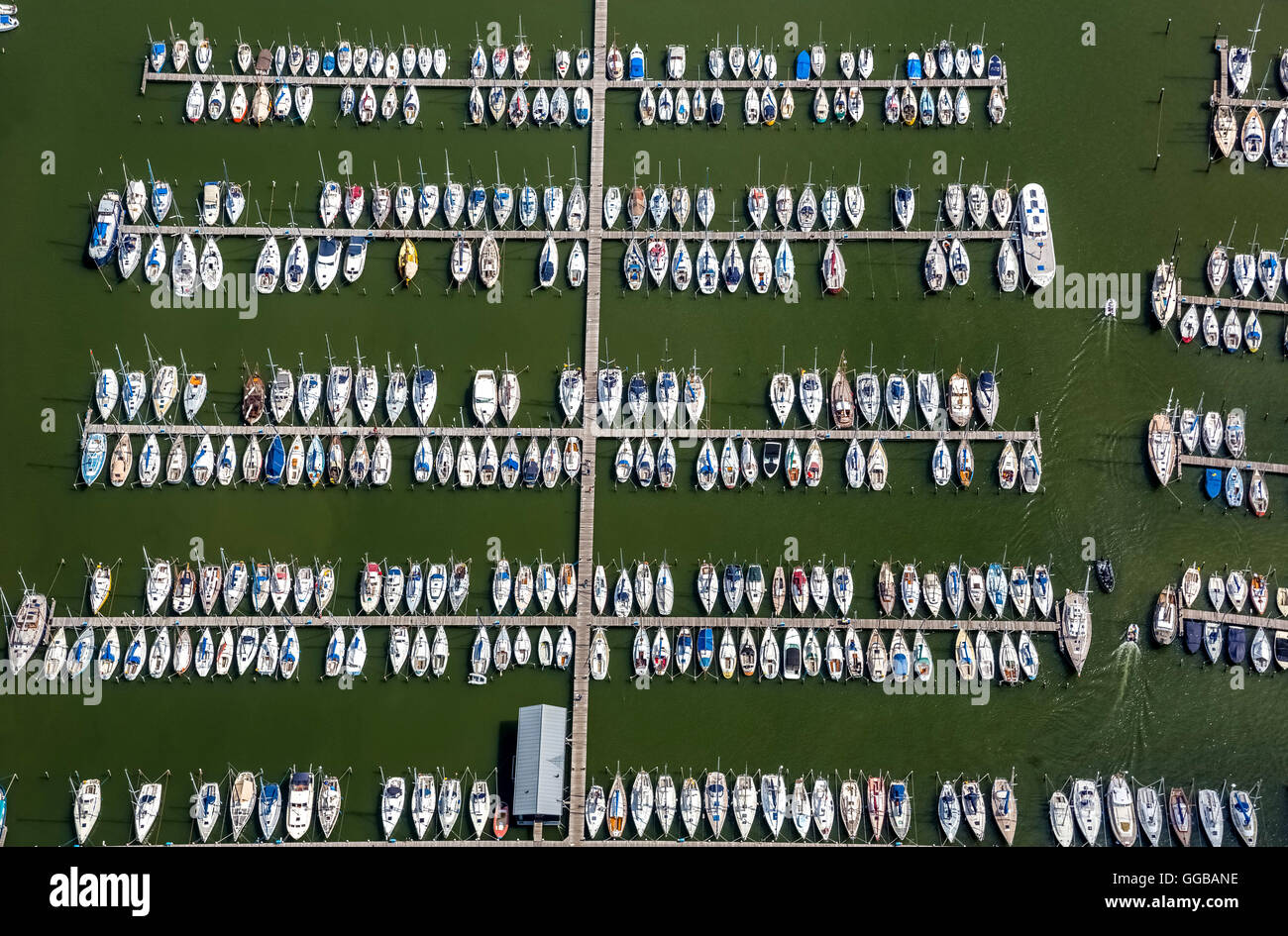 Vue aérienne, Hoorn avec marina, port de plaisance, quai au lac Markermeer, Hollande du Nord, Pays-Bas, Europe, vue aérienne, les oiseaux-lunettes Banque D'Images