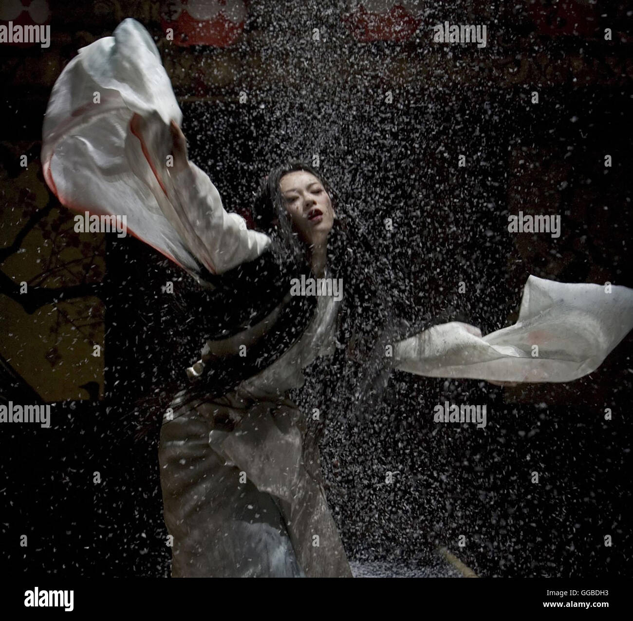 DIE GEISHA Memoirs of a Geisha USA 2005 Rob Marshall Ziyi Zhang Regie : Rob Marshall aka. Mémoires d'une geisha Banque D'Images