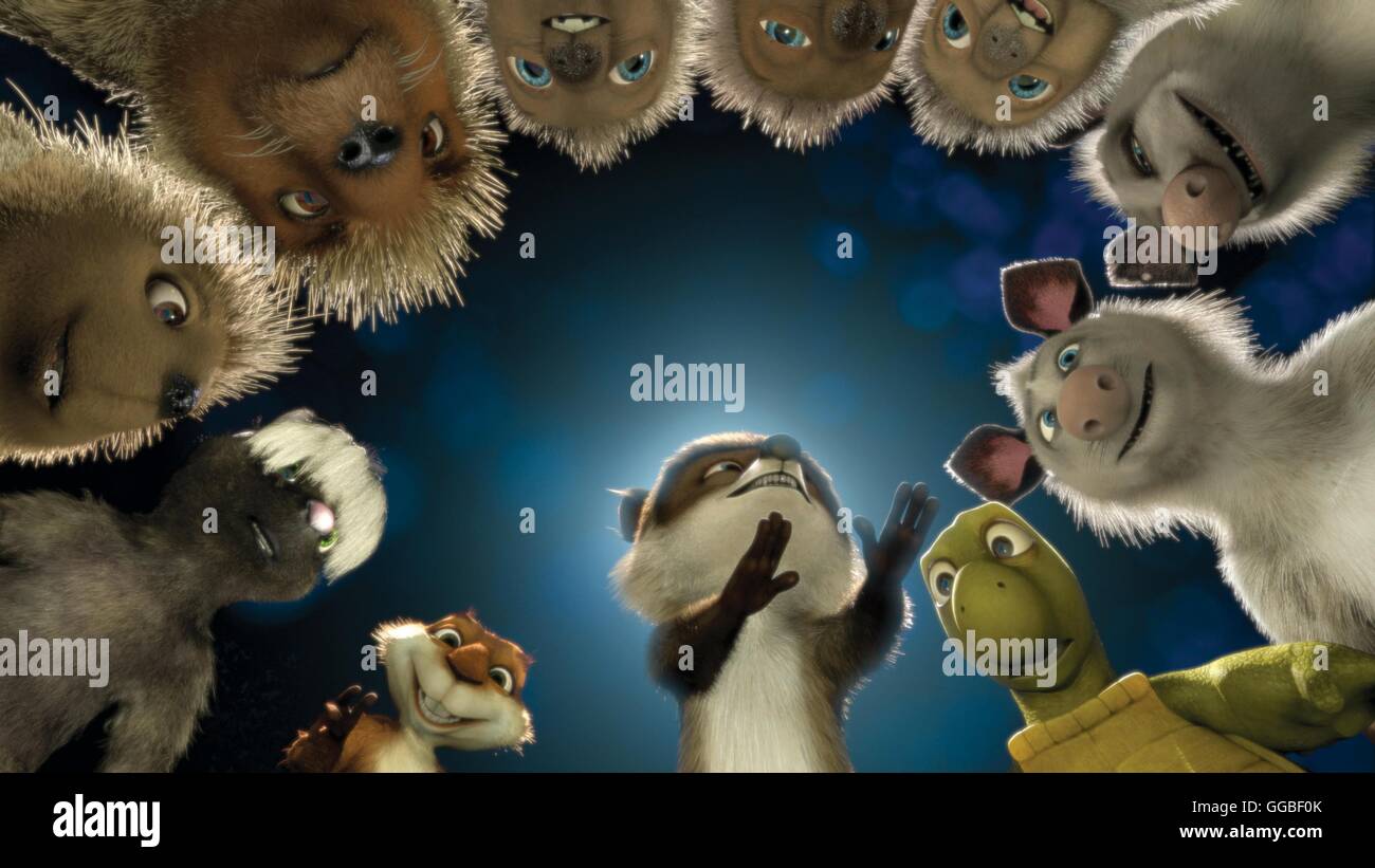 AB durch die HECKE / Over the Hedge USA 2006 / Tim Johnson, Kary KirACKtrick le raton laveur RJ, Verne la tortue, Ozzie et Heather le Possum, la Harde de triplets, Lou et Penny le porc-épic, Stella la moufette et Hammy l'écureuil. Regie : Tim Johnson, Kary Kirkpatrick aka. Par-dessus la haie Banque D'Images