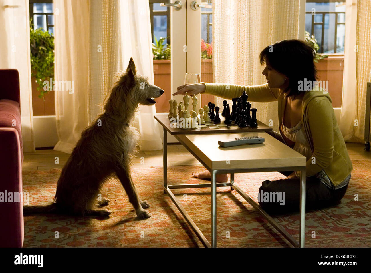 DAS HAUS AM SEE / La Maison du Lac USA 2006 / Alejandro Agresti Kate Forster (Sandra Bullock) et le jeu d'échecs avec le chien. Regie : Alejandro Agresti aka. Le Lake House Banque D'Images
