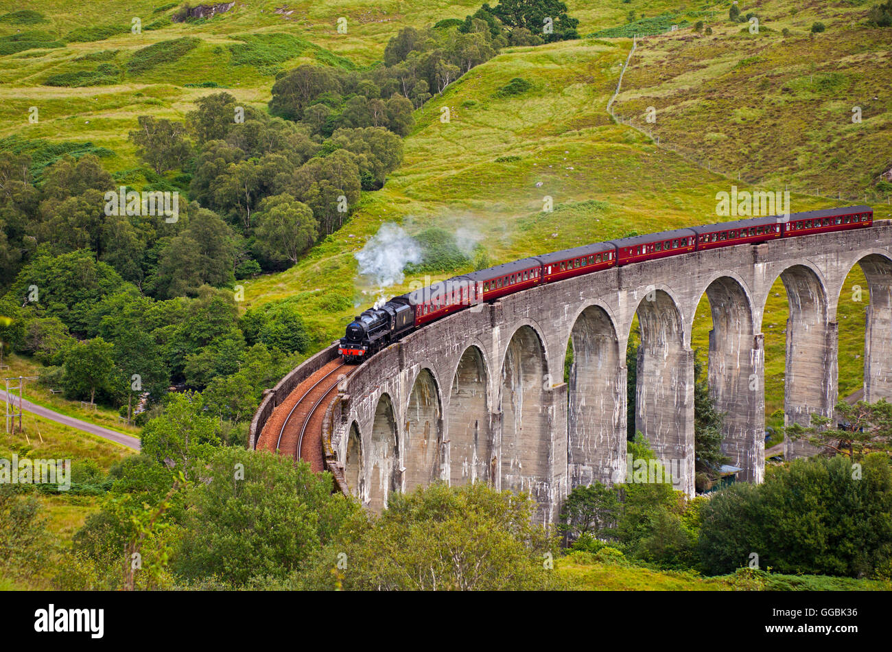 Passage du Train à vapeur Jacobite viaduc de Glenfinnan, Scotland UK Lochaber dans sunshine Banque D'Images
