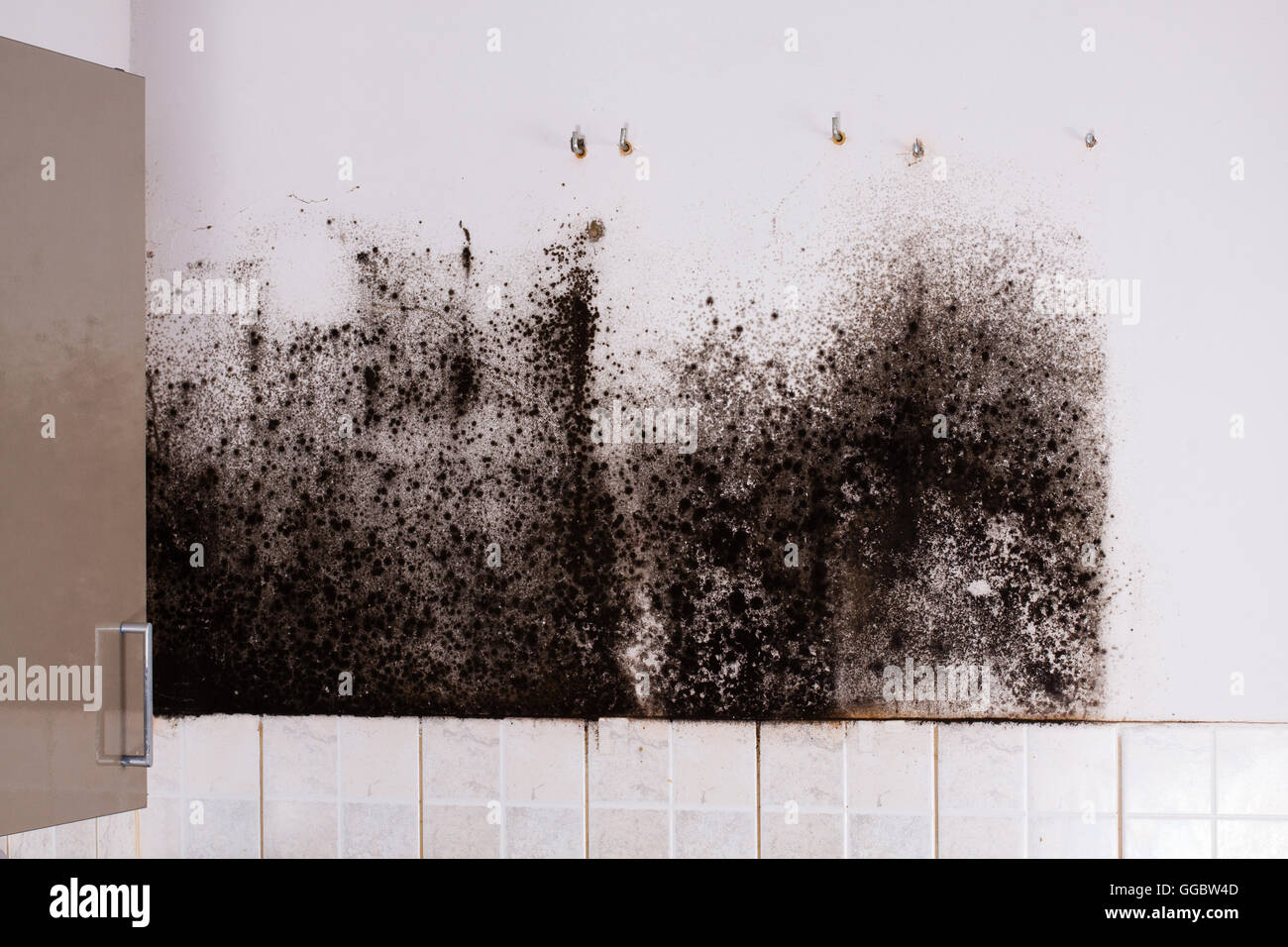 Derrière moule d'armoires de cuisine. Banque D'Images