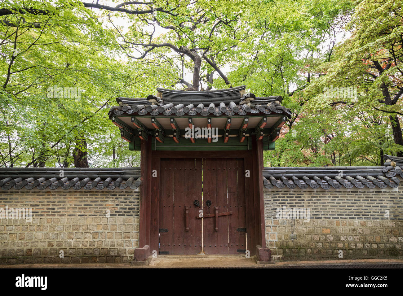 Les arbres verdoyants derrière un mur et l'embarquement à l'Palais Changdeokgung à Séoul, Corée du Sud. Banque D'Images