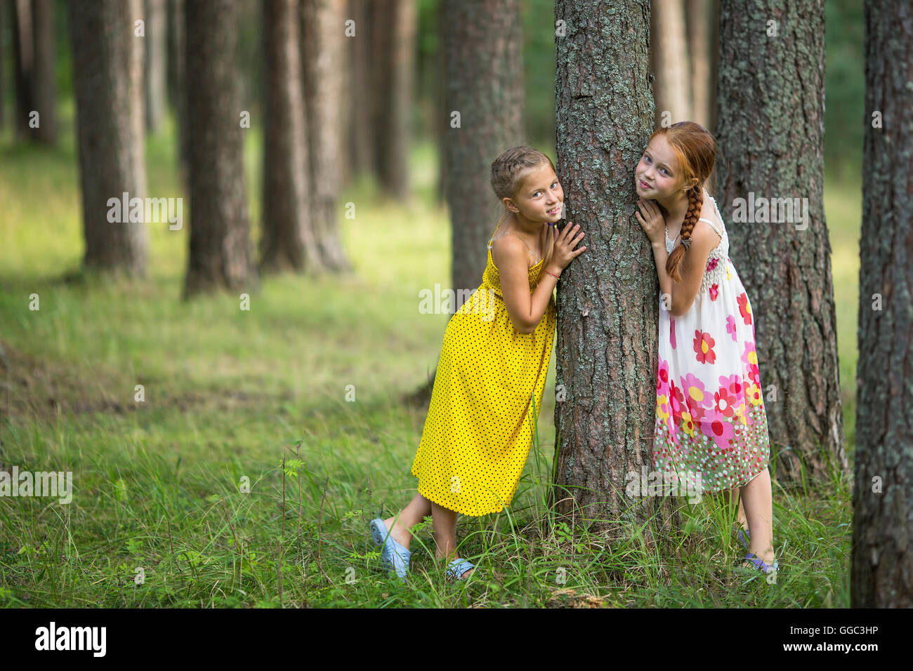 Deux petites filles mignonnes posant près de l'arbre dans une forêt de pins. Banque D'Images