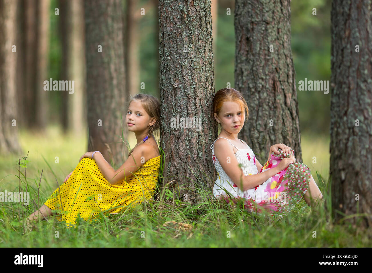 Deux petites filles mignonnes assis près de l'arbre dans une forêt de pins. Banque D'Images