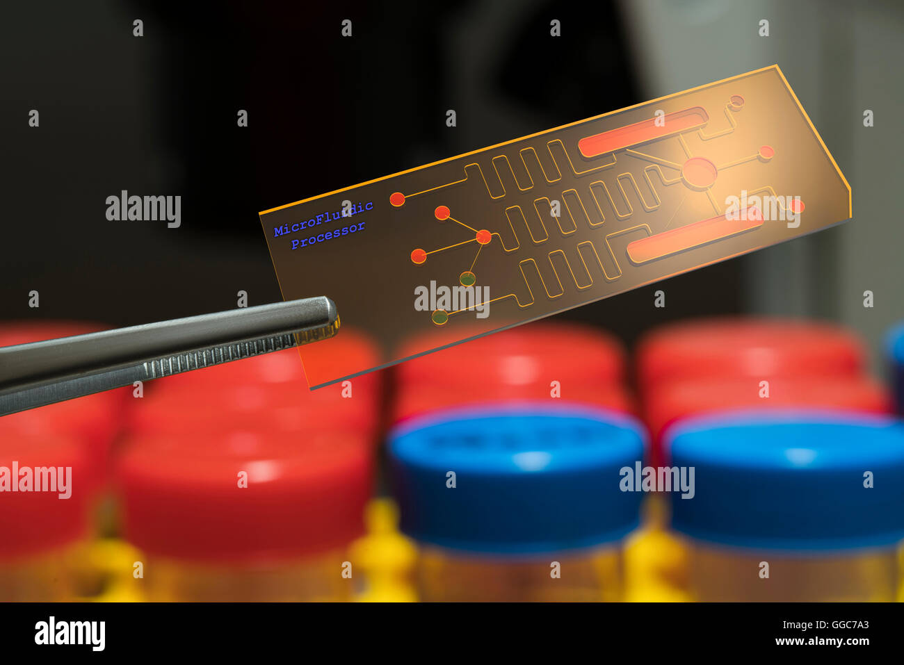 Processeur microfluidiques, laboratoire sur puce Banque D'Images