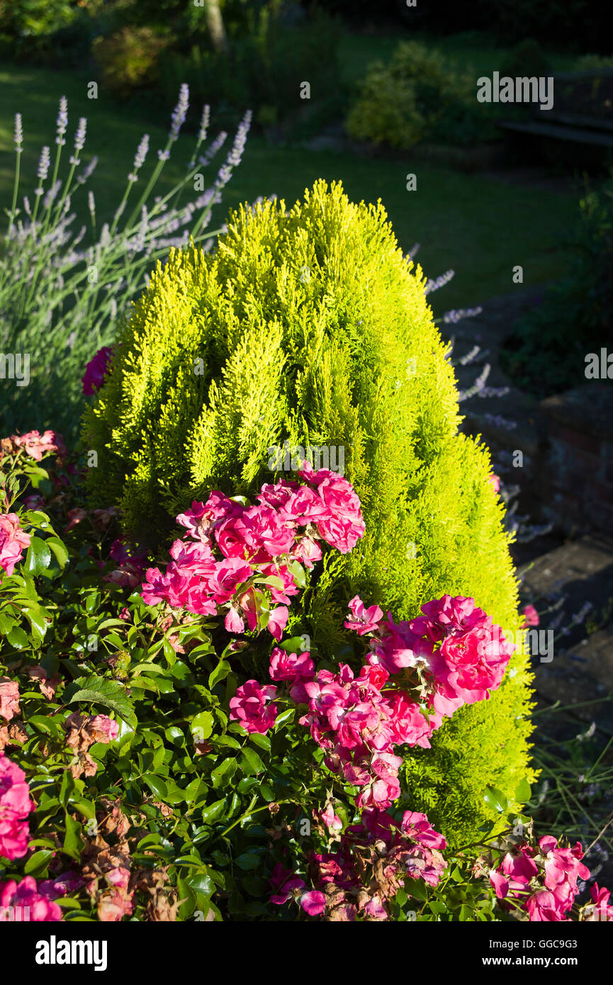 Roger Brook The No Dig Gardener Not Quite Gardening Without