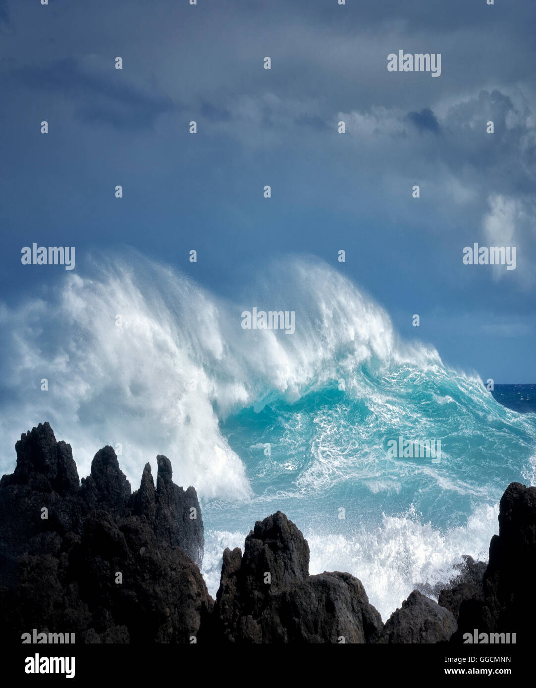 Le fracas des vagues à Laupahoehoe Point. Hawaii, l'île. La grande île. Banque D'Images