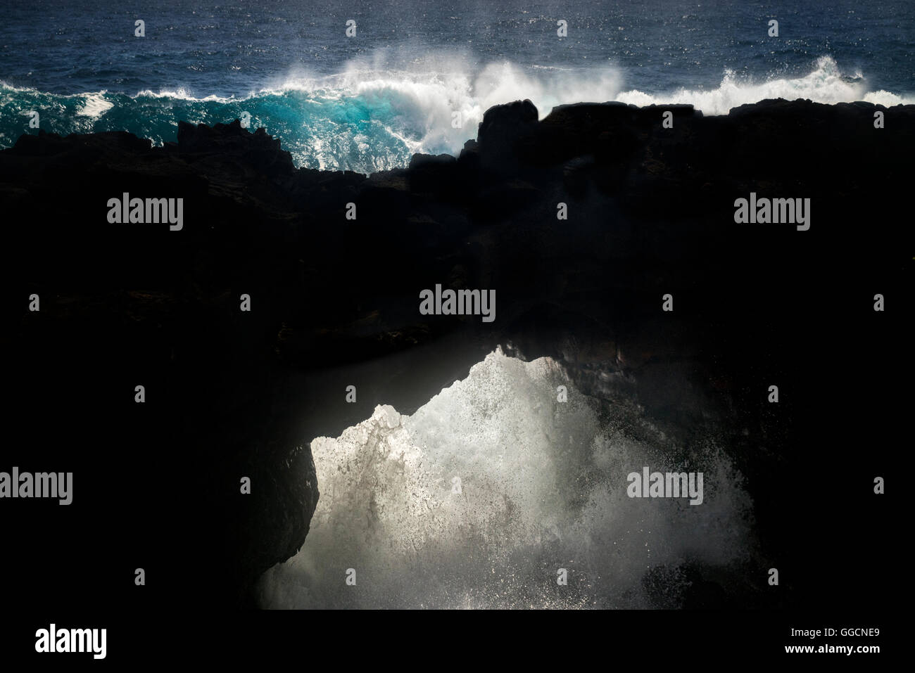 Passage de la mer dans la puna. Hawaii Island Banque D'Images