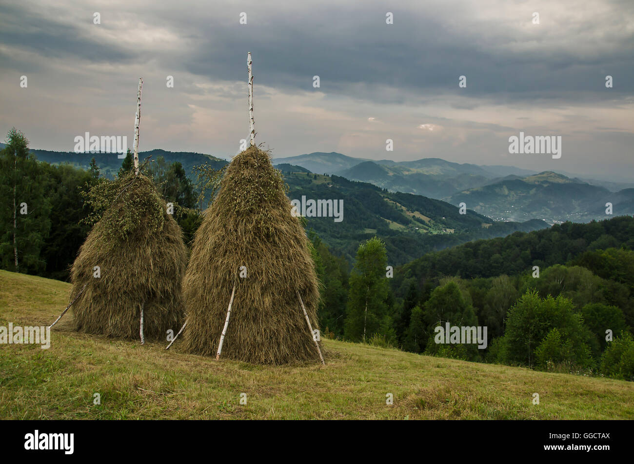 Les montagnes des Carpates. L'Ukraine. Banque D'Images