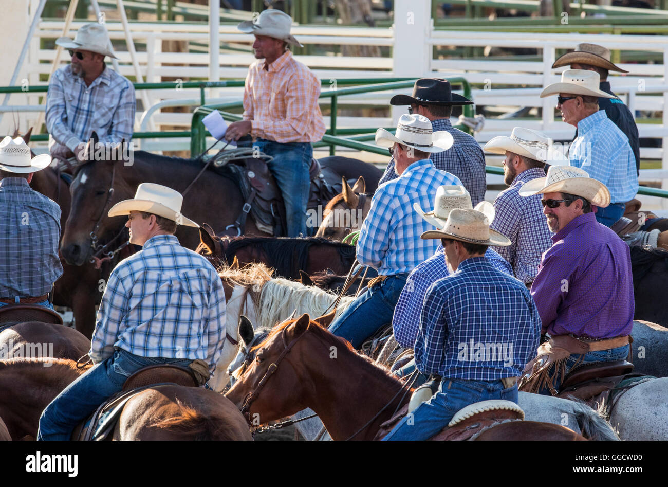 Cowboys à cheval ; Chaffee County Fair & Rodeo, Salida, Colorado, USA Banque D'Images