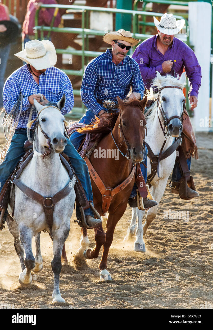 Rodeo Cowboys à cheval, Chaffee County Fair & Rodeo, Salida, Colorado, USA Banque D'Images