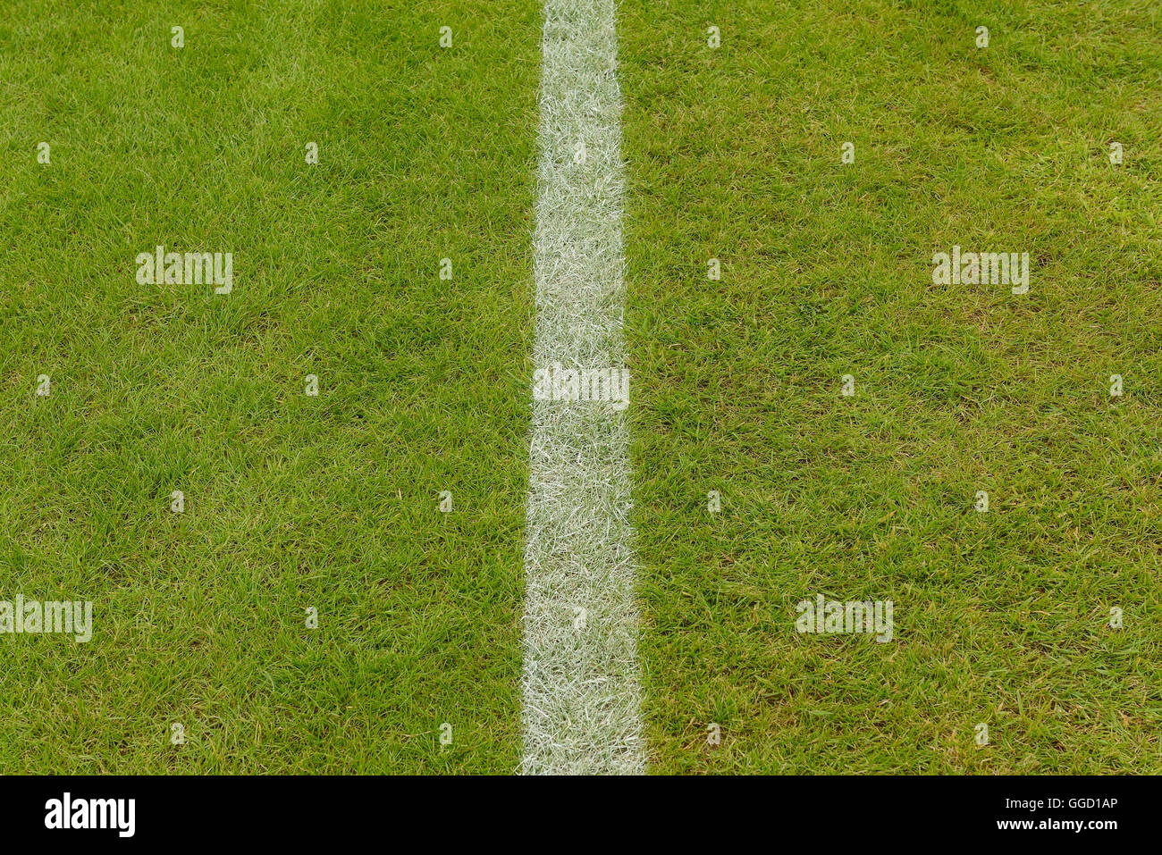 L'herbe sur un terrain de sport avec une ligne de couleur blanche Banque D'Images