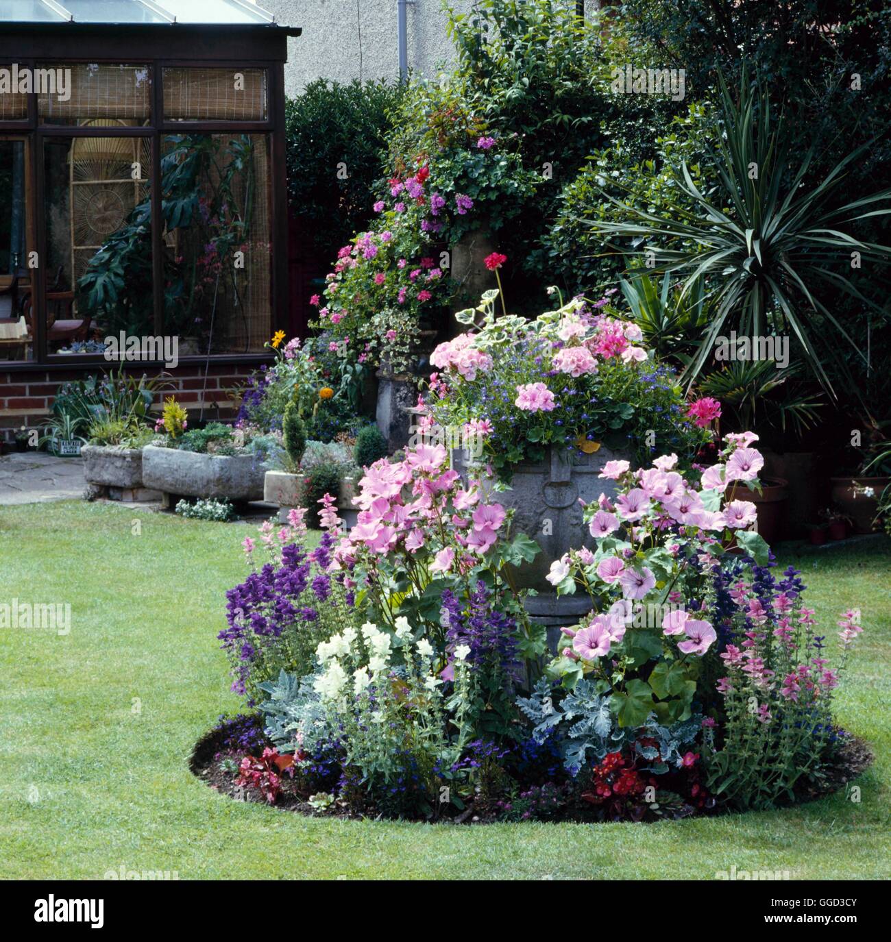 Jardin annuel - avec Clary Lavatera géraniums et Lobelia ANG026815 /Pho Banque D'Images