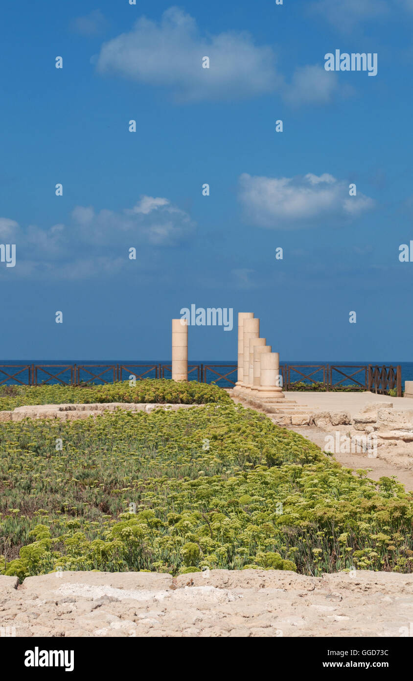 Israël, Moyen-Orient : le parc national de Césarée, accueil à l'époque hellénistique, romaine et byzantine découvertes archéologiques de la ville construite par Hérode Banque D'Images