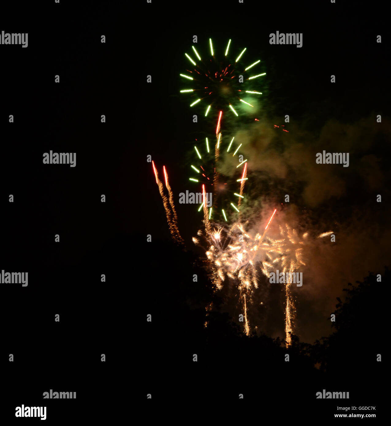 Un grand spectacle d'artifice dans un ciel sombre. Banque D'Images