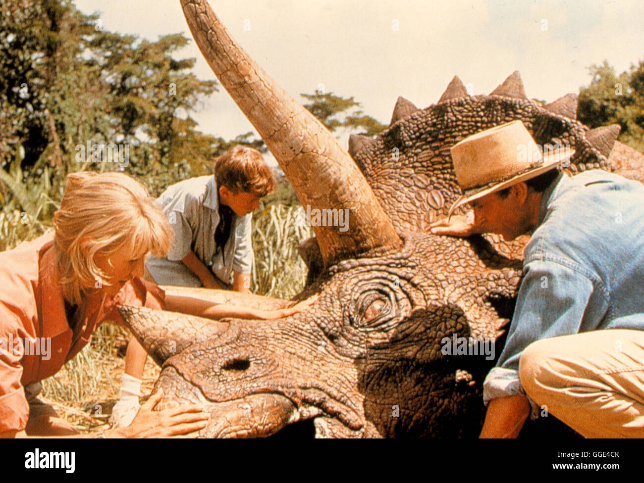 JURASSIC PARK Jurassic Park / USA 1993 / Steven Spielberg Filmszene mit LAURA DERN (Dr. Ellie Sattler), Sam Neill (Le Dr Alan Grant) aus 'Jurassic Park', 1993. Regie : Steven Spielberg aka. Jurassic Park Banque D'Images