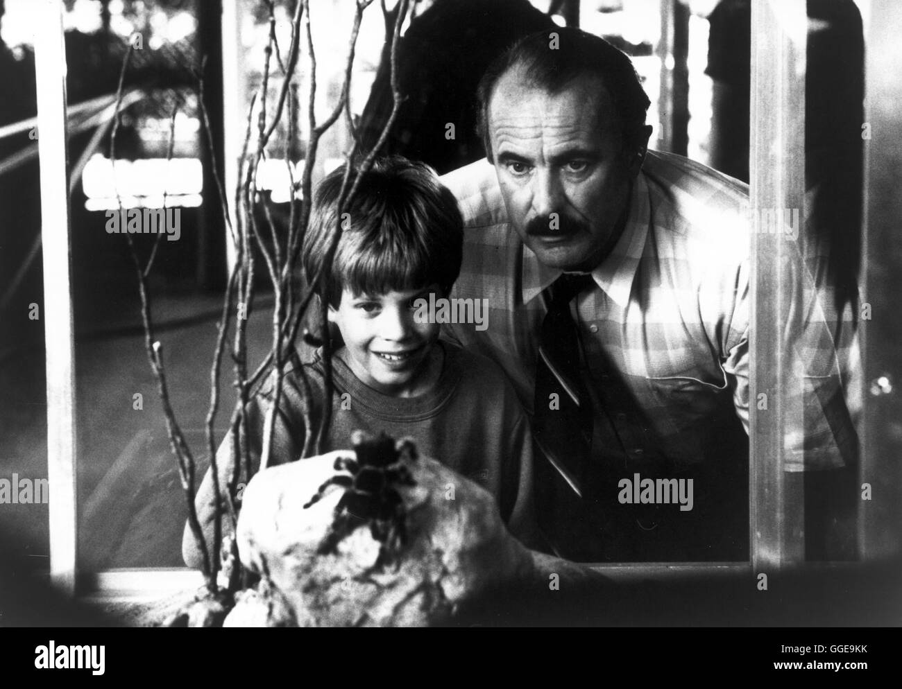 EIN COP STARTET DURCH / Peu de temps USA 1990 / Gregg Champion Voir mit KAJ-ERIK ERIKSEN (Dougie Simpson) und DABNEY COLEMAN (Burt Simpson). Regie : Gregg Champion aka. Peu de temps Banque D'Images