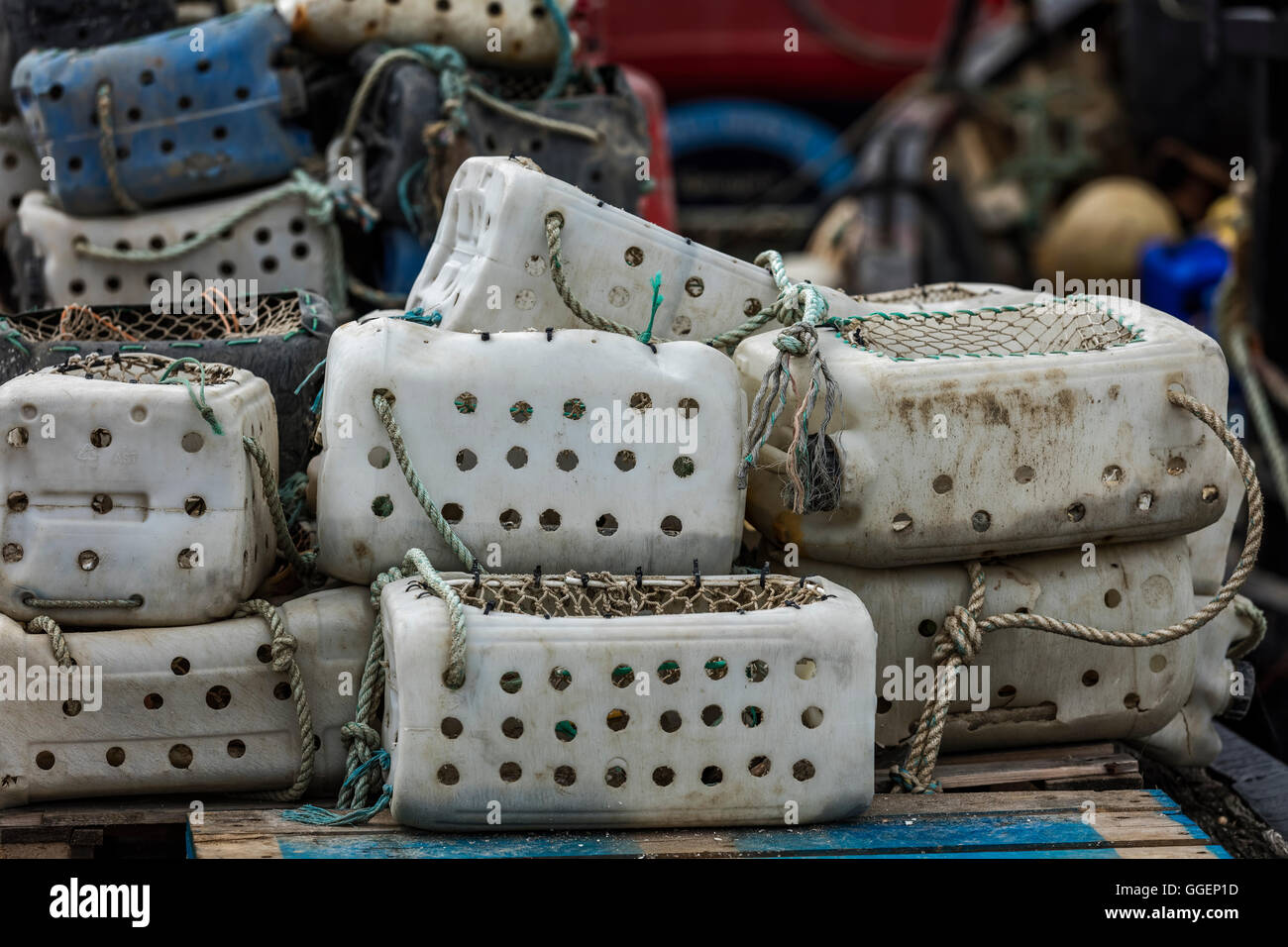 Pêche blanche en plastique les boîtes utilisées par pêcheur dans Whitstable pour attraper des poissons et fruits de mer Banque D'Images