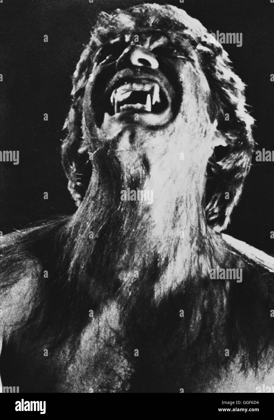 Les hurlements de NIVEAU DAS / USA 1980 / Joe Dante Nach dem Zusammentreffen mit einem Triebtäter Fernsehreporterin Nervenzusammenbruch erleidet eine auf und kommt ein dans Therapie-Zentrum, das sich als Sammelplatz von Menschen, die entpuppt sich Unter dem Einfluß ihrer dunklen Triebe dans reißende Bestien verwandeln... Bild : Karen (DEE WALLACE) Régie : Joe Dante aka. Le hurlement Banque D'Images