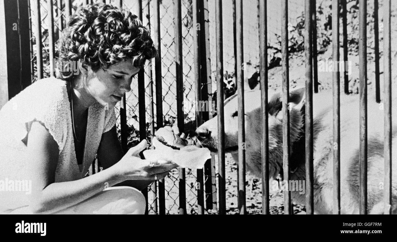 DER WEISSE HUND VON BEVERLY HILLS / White Dog USA 1982 / Samuel Fuller KRISTY McNICHOL (Julie) dans "der weiße Hund von Beverly Hills', 1982. Regie : Samuel Fuller aka. Chien blanc Banque D'Images