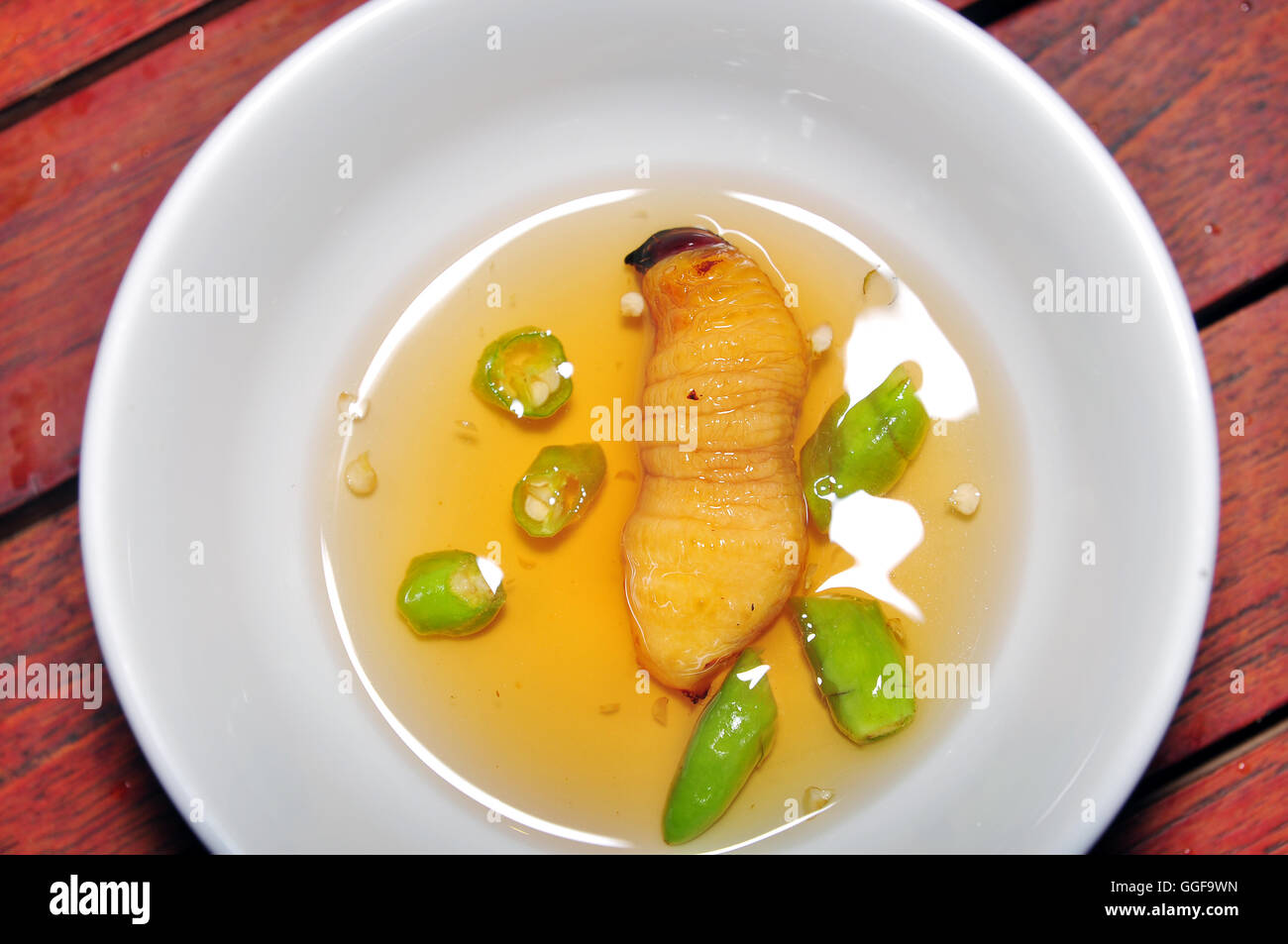 Larve de charançon rouge des palmiers de noix de coco ou un ver ou Duong dua ou ver de sagou (Rhynchophorus ferrugineus) du Vietnam Banque D'Images