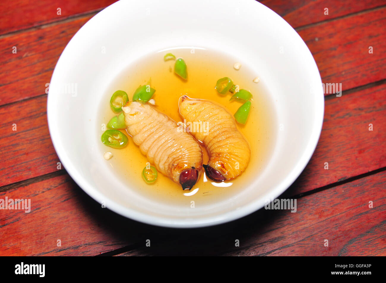 Larve de charançon rouge des palmiers de noix de coco ou un ver ou Duong dua ou ver de sagou (Rhynchophorus ferrugineus) du Vietnam Banque D'Images