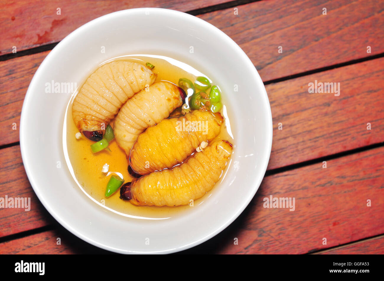 Larve de charançon rouge des palmiers de noix de coco ou un ver ou Duong dua ou ver de sagou (Rhynchophorus ferrugineus) du Vietnam Banque D'Images