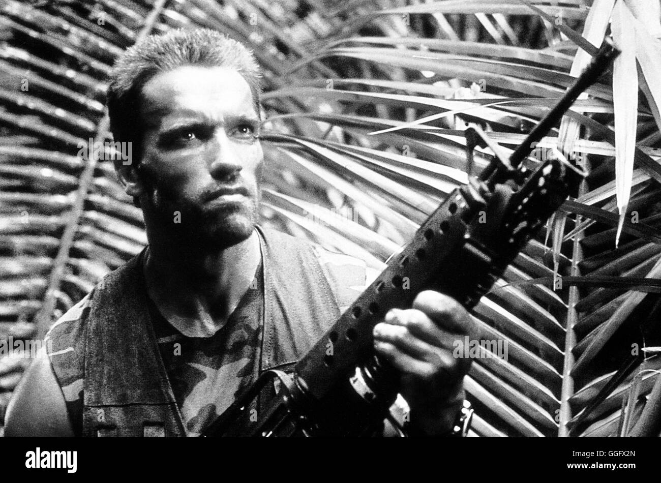 PREDATOR predator / USA 1987 / John McTiernan Arnold Schwarzenegger dans 'terror', 1987. Regie : John McTiernan aka. Predator Banque D'Images