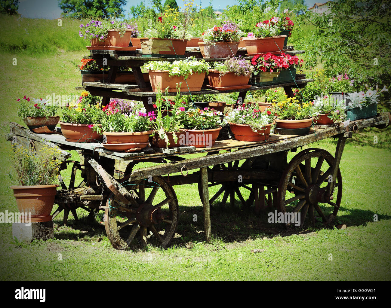 Très vieux wagon en bois décoré avec beaucoup de pots de fleurs Banque D'Images