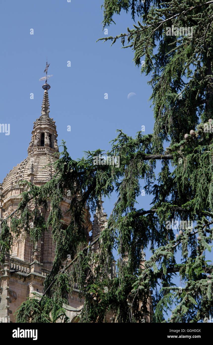 Tour de l'église de Salamanque Banque D'Images