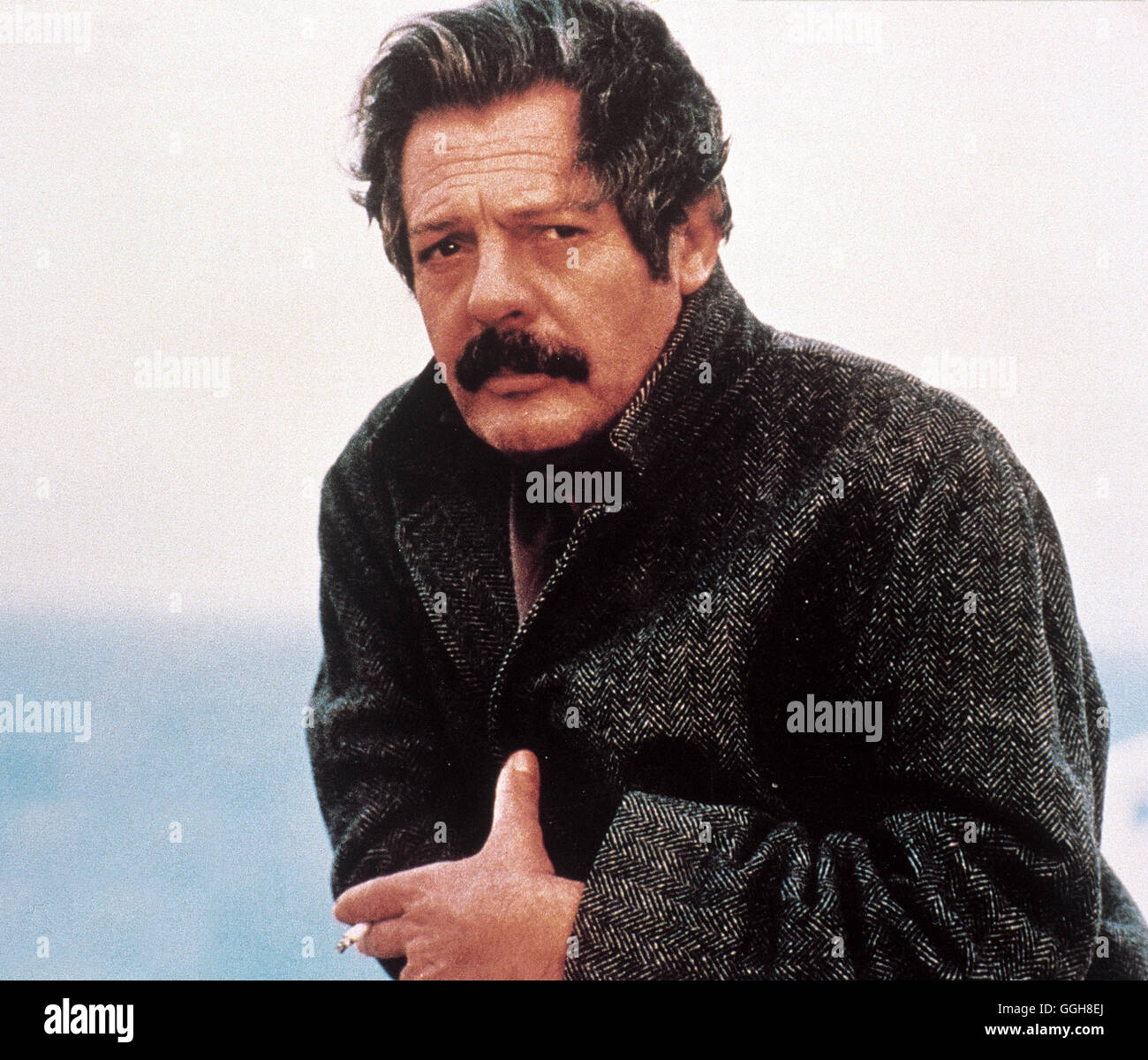 DER BIENENZÜCHTER / O Melissokomos / L'Apiculteur GR, F, I 1986 / Theo Angelopoulos Spyros (Marcello Mastroianni) Régie : Theo Angelopoulos aka. O Melissokomos / L'Apiculteur Banque D'Images