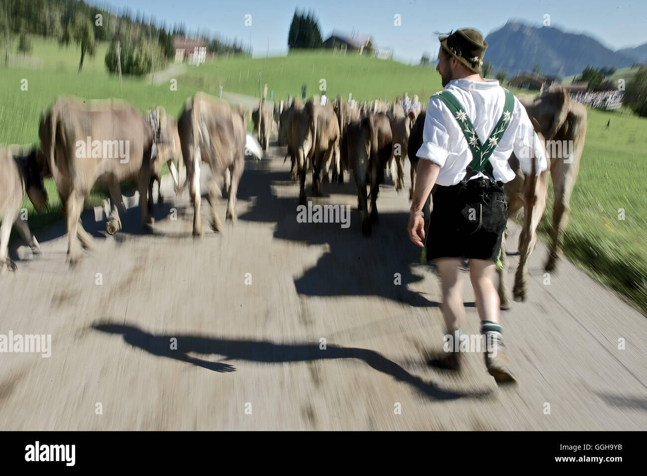 Homme portant des vêtements traditionnels, Viehscheid, Allgau, Bavière, Allemagne Banque D'Images