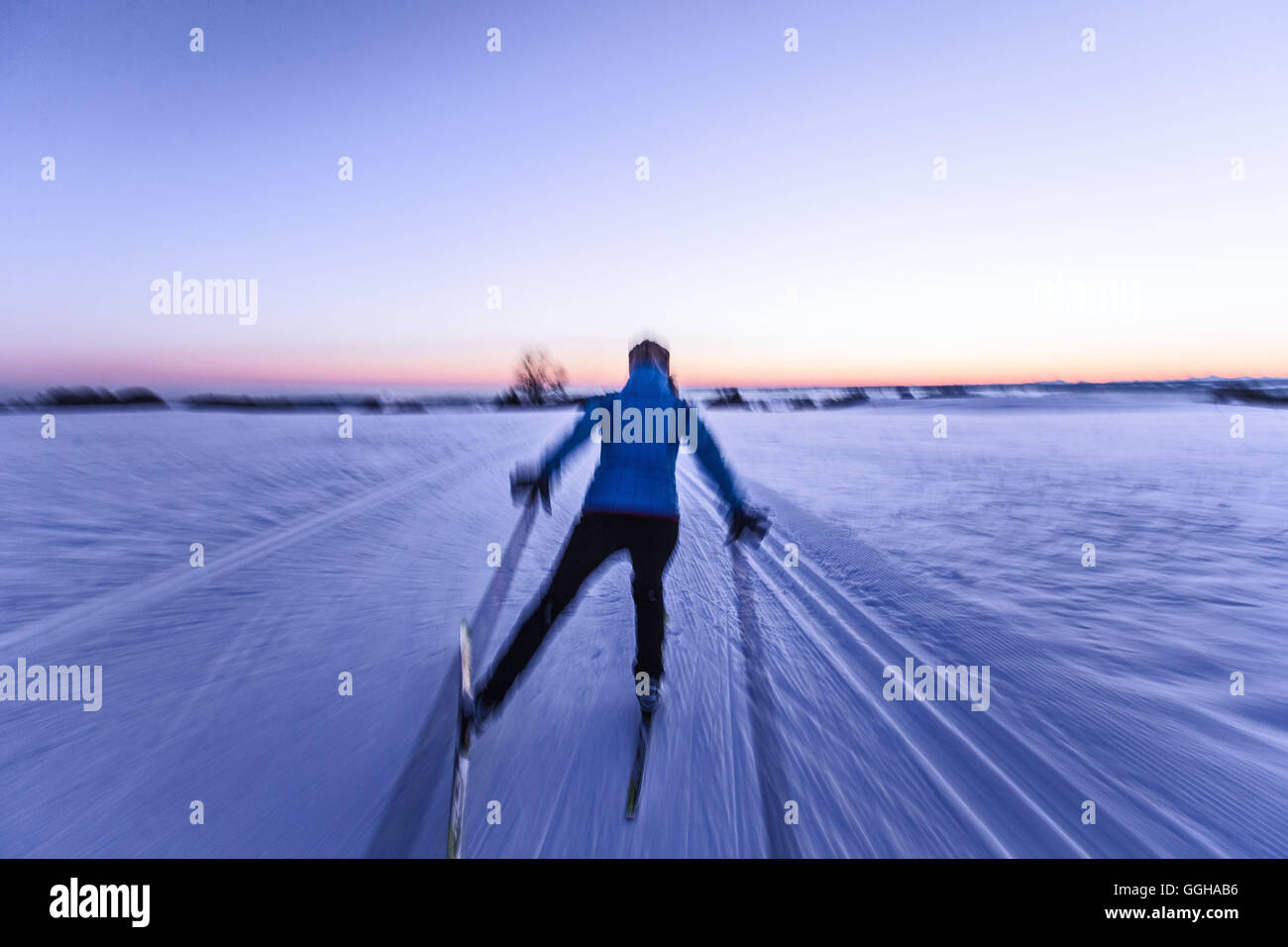 Jeune femme ski de fond au coucher du soleil, Allgaeu, Bavaria, Germany Banque D'Images