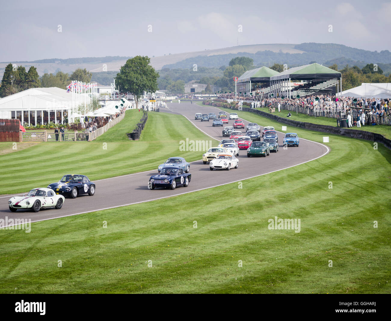 Fordwater Trophy, Goodwood Revival 2014, course Sport, voiture de collection, Goodwood, Chichester, Sussex, Angleterre, Grande-Bretagne Banque D'Images