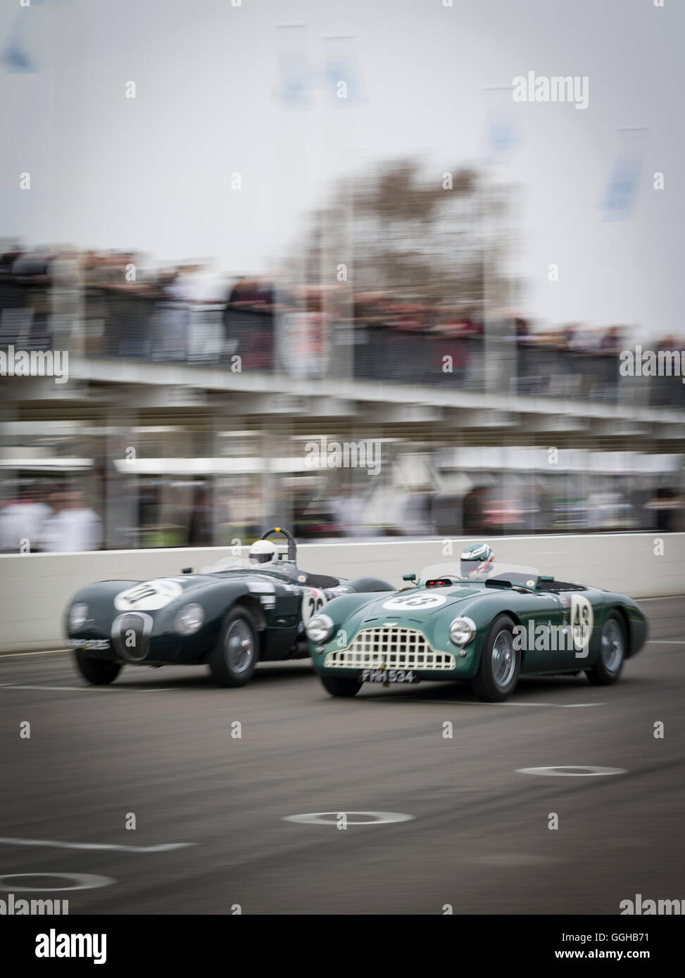 Jaguar C-type (L) et Aston Martin DB3, Peter Collins Trophy, 72e réunion des membres, course, voiture course, voiture classique, Chichester, Banque D'Images