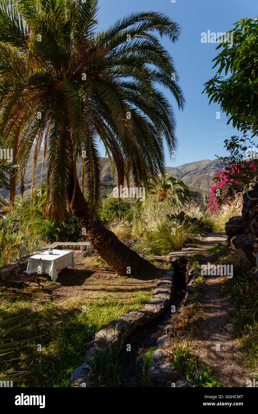 Table de jardin sous palmier, sentier de randonnée pédestre le long de l'irrigation channal, réserve naturelle, parc naturel de Tamadaba, UNESCO Biosph Banque D'Images