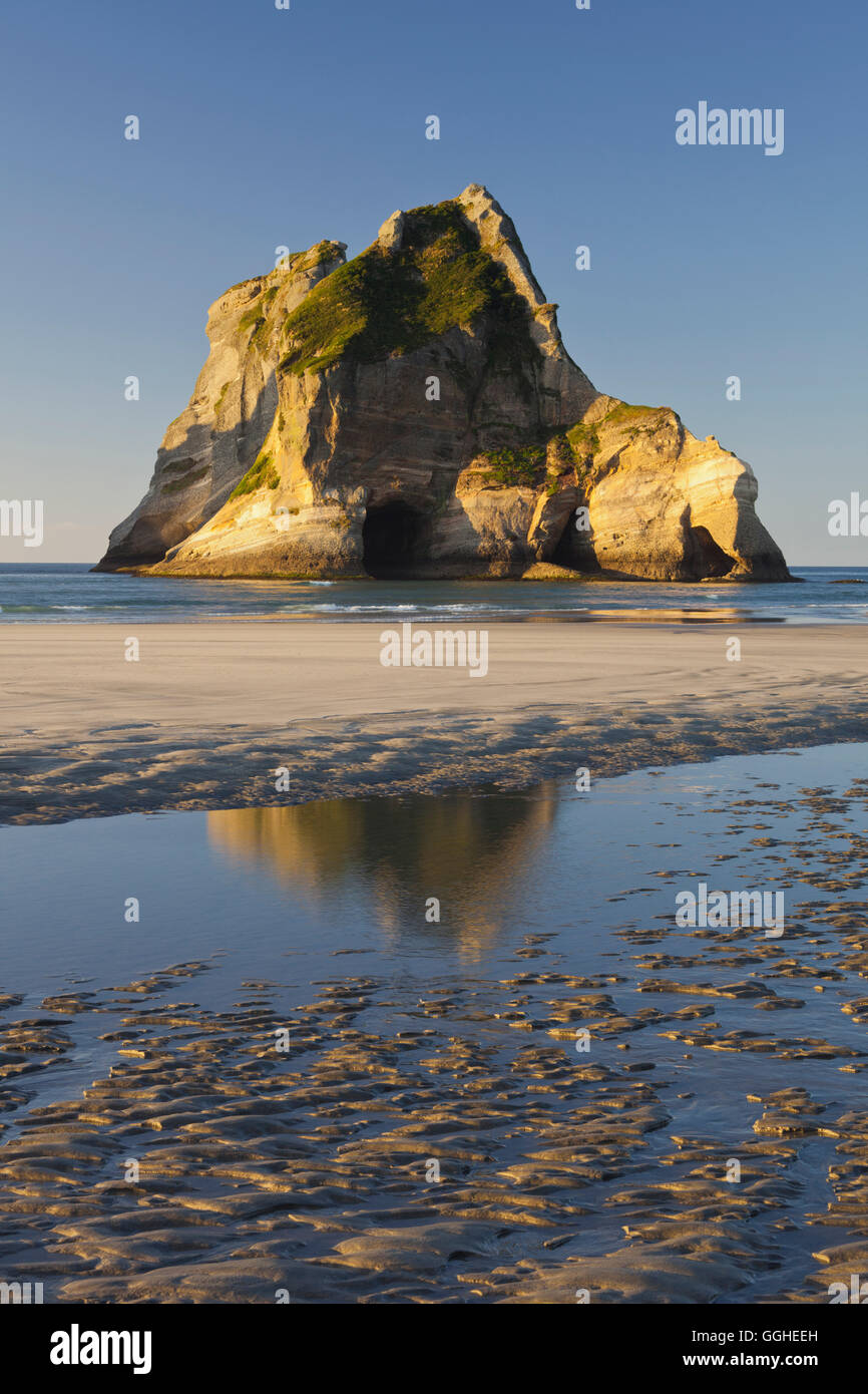 Îles d'Archway, Wharariki Beach, Tasman, île du Sud, Nouvelle-Zélande Banque D'Images