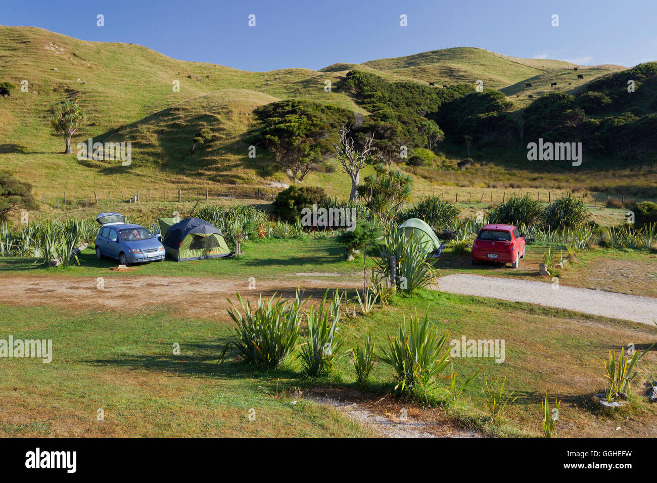 Camping à Wharariki, Tasman, île du Sud, Nouvelle-Zélande Banque D'Images