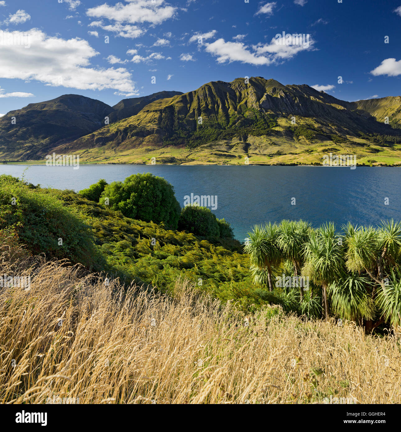 Pic Sentinel, le lac Hawea, Otago, île du Sud, Nouvelle-Zélande Banque D'Images