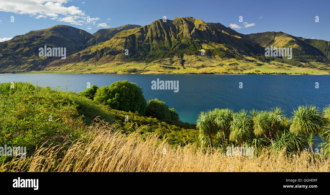 Pic Sentinel, le lac Hawea, Otago, île du Sud, Nouvelle-Zélande Banque D'Images