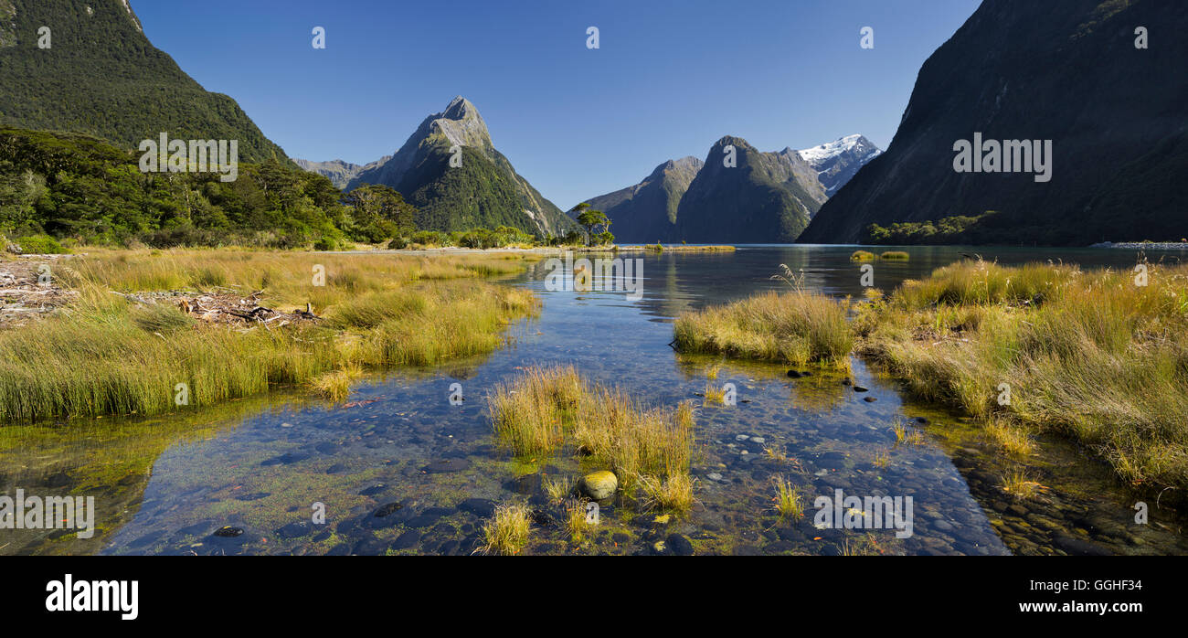 Milford Sound, Fiordland National Park, Southland, île du Sud, Nouvelle-Zélande Banque D'Images