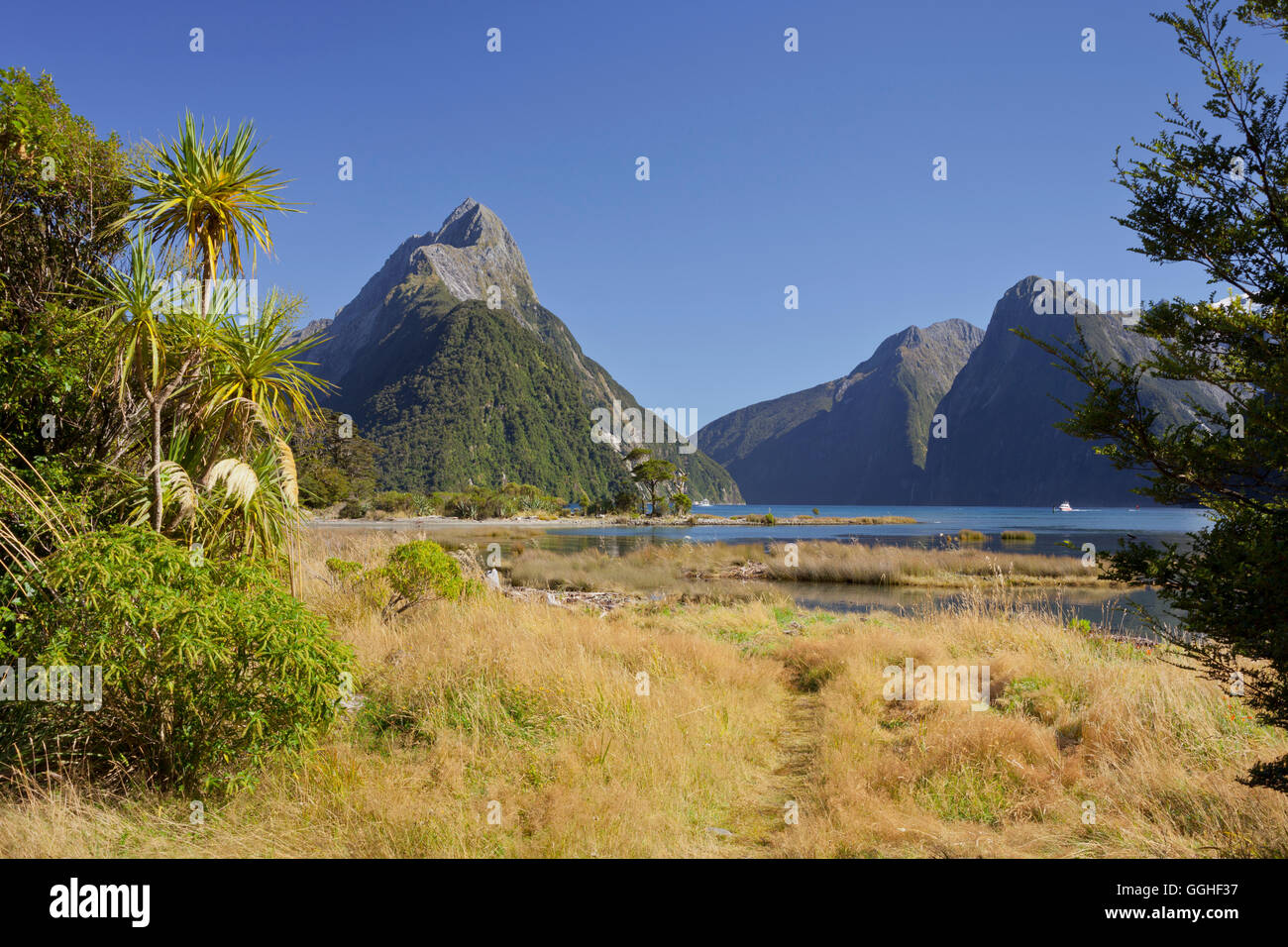 Milford Sound, Fiordland National Park, Southland, île du Sud, Nouvelle-Zélande Banque D'Images