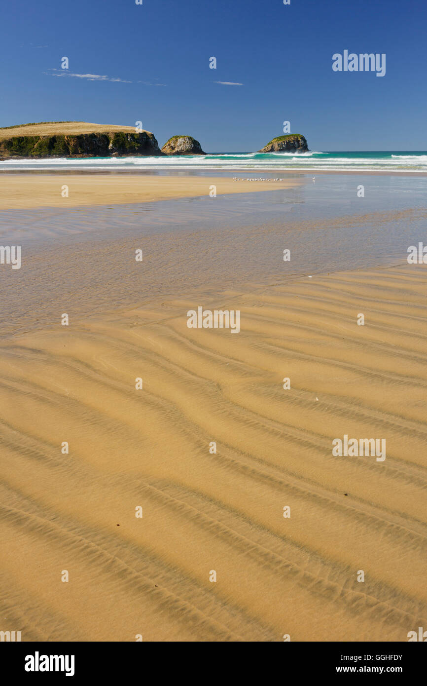 Plage de sable à Tautuku Bay, Otago, île du Sud, Nouvelle-Zélande Banque D'Images