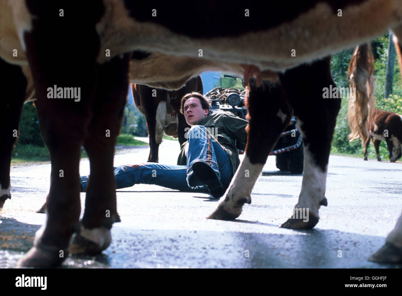 Dire que c'est pas si / Ohne Worte USA 2001 / James B. Rogers (II) Voir mit Gilbert Noble (Chris Klein) Régie : James B. Rogers (II) aka. Ohne Worte Banque D'Images