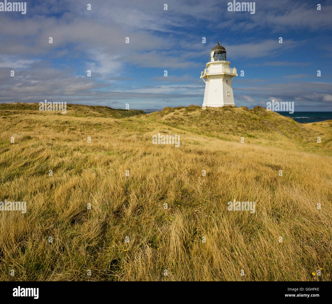 Waipapa phare, Southland, Catlins, île du Sud, Nouvelle-Zélande Banque D'Images